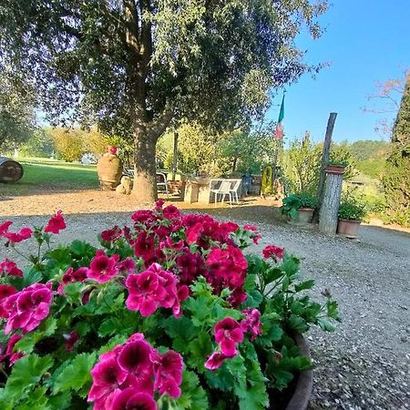 Azienda Agricola Polveraia サン・ジミニャーノ エクステリア 写真