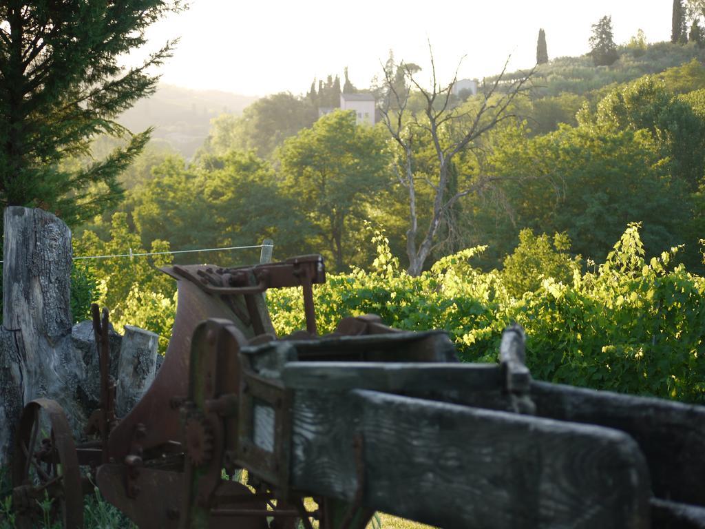 Azienda Agricola Polveraia サン・ジミニャーノ エクステリア 写真
