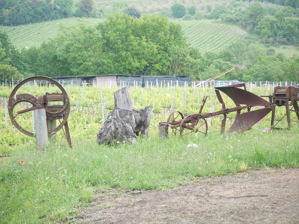Azienda Agricola Polveraia サン・ジミニャーノ エクステリア 写真