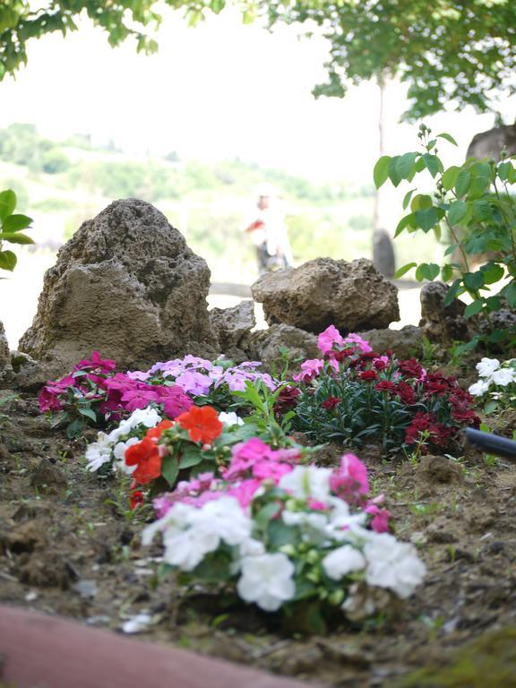 Azienda Agricola Polveraia サン・ジミニャーノ エクステリア 写真