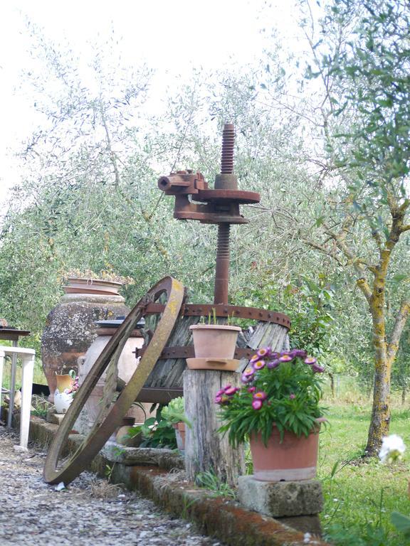 Azienda Agricola Polveraia サン・ジミニャーノ エクステリア 写真