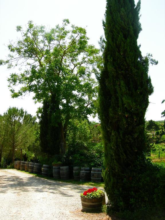 Azienda Agricola Polveraia サン・ジミニャーノ エクステリア 写真