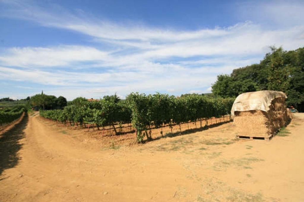 Azienda Agricola Polveraia サン・ジミニャーノ エクステリア 写真