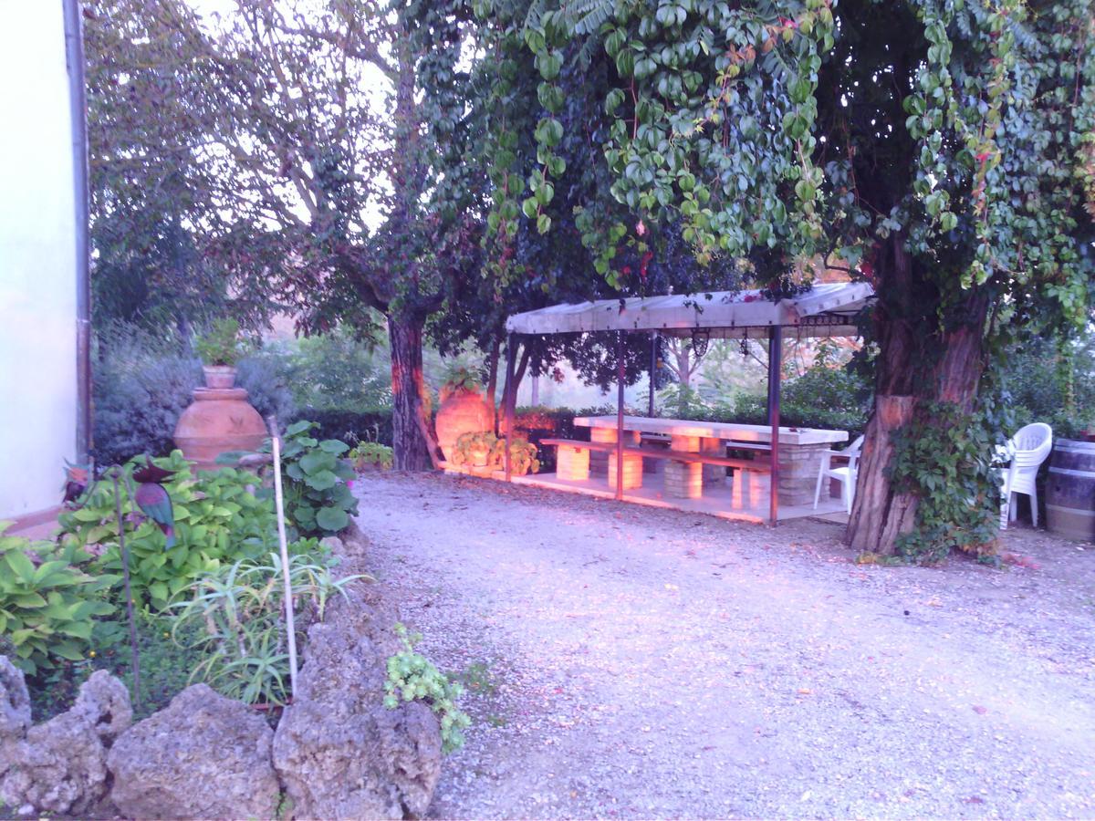 Azienda Agricola Polveraia サン・ジミニャーノ エクステリア 写真